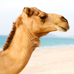 Similar image 10953951