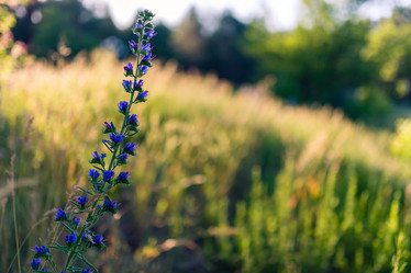 Similar image 10953761