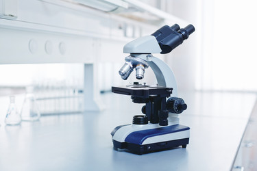 Similar image 10954351