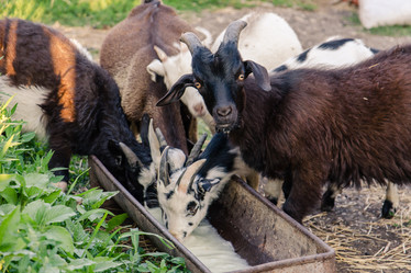 Similar image 10953891