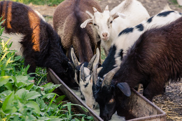 Similar image 10953892