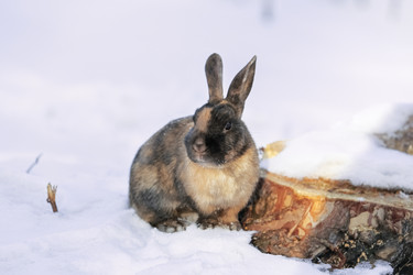 Similar image 10954502