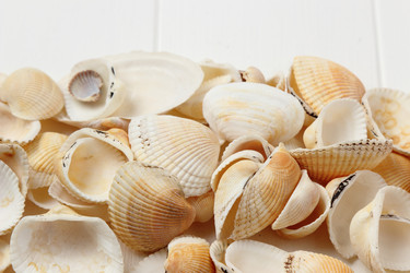 Similar image 10954125