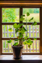 Similar image 10956380