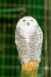 Similar image 10956394