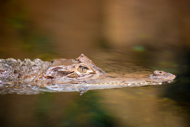 Similar image 10956395