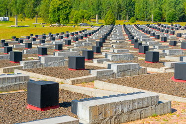 Similar image 10956384