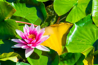 Similar image 10956388