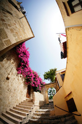 Similar image 10954215