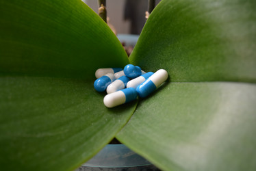 Similar image 10955099