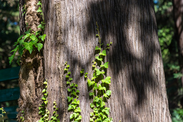 Similar image 10955715