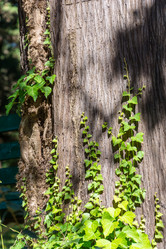 Similar image 10955696