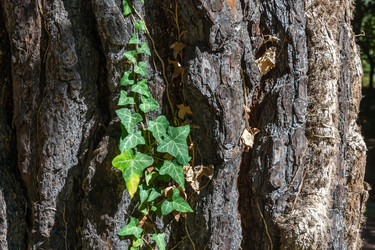 Similar image 10955698