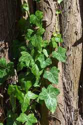 Similar image 10955699