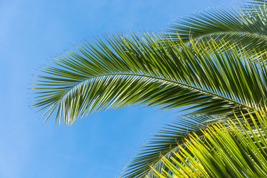 Similar image 10955703