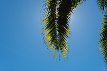 Similar image 10955704