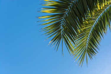 Similar image 10955706