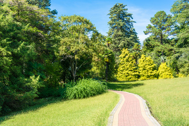 Similar image 10955716