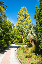 Similar image 10955717