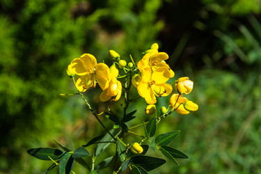 Similar image 10955721