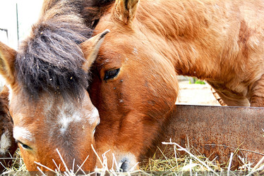 Similar image 10954893