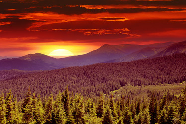 Similar image 10954239