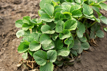 Similar image 10955177