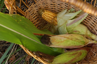 Similar image 10955182