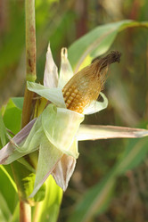 Similar image 10955185