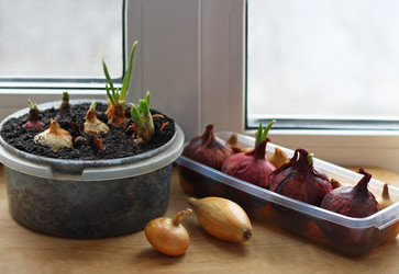 Similar image 10955188