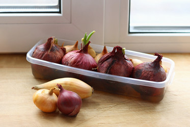 Similar image 10955189