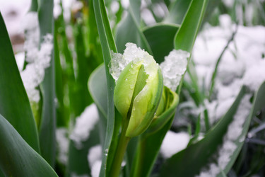 Similar image 10955103