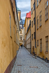 Similar image 10955082