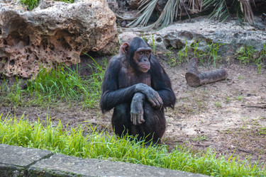 Similar image 10955032