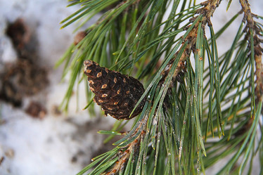 Similar image 10955251