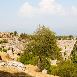 Similar image 10957585