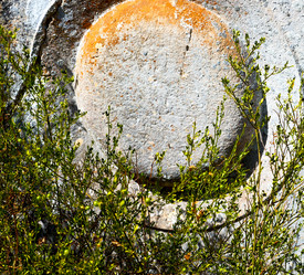 Similar image 10957641