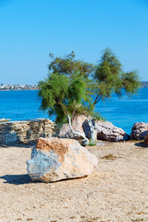 Similar image 10957658