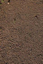 Similar image 10955610