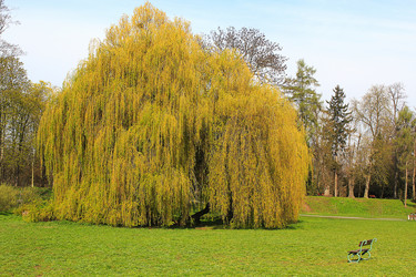 Similar image 10956150