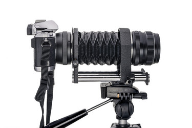 Similar image 10955356