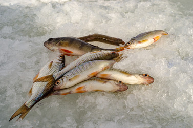 Similar image 10955337