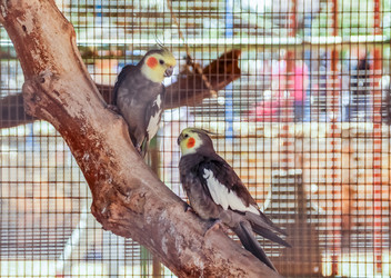 Similar image 10955035