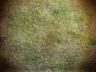 Similar image 10956081