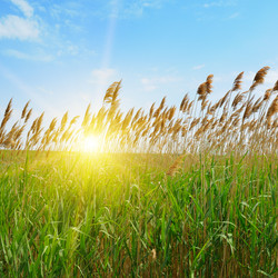 Similar image 10956470