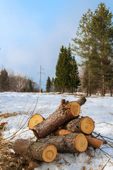 Similar image 10955018