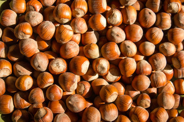 Similar image 10955870