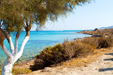 Similar image 10957567