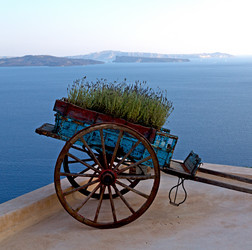 Similar image 10957686