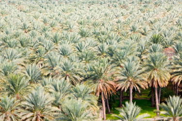 Similar image 10957687